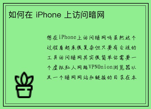 如何在 iPhone 上访问暗网 