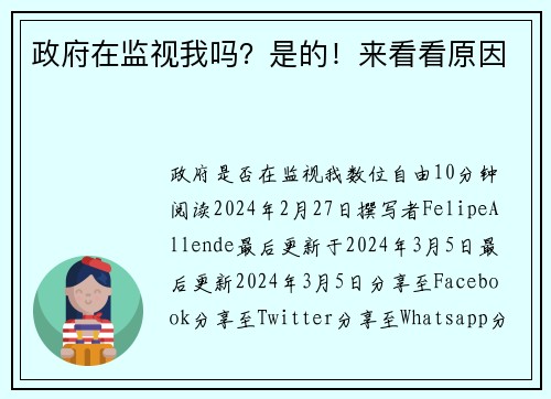 政府在监视我吗？是的！来看看原因